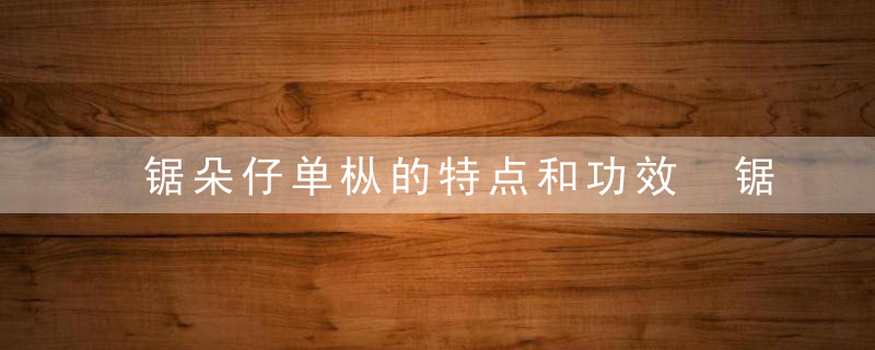 锯朵仔单枞的特点和功效 锯朵仔单枞的特点和功效介绍